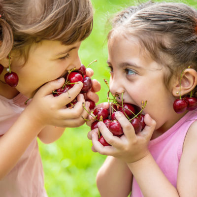 Children Eat Cherries In The Summer. Selective Focus. Children Eat Cherries In The Summer. Selective Focus.