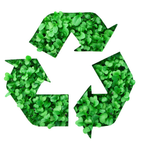 Umwelt Nachhaltigkeit Verpackung Versand Umwelt Nachhaltigkeit Verpackung Versand