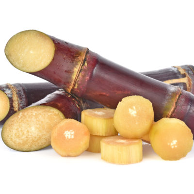 Sugar Cane Isolated On White Backgroun Sugar Cane Isolated On White Backgroun