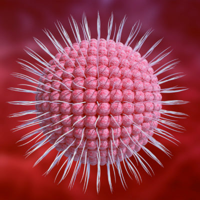 Varicella Zoster Virus Is The Cause Of Herpes In Humans. Microscopic Magnification Varicella Zoster Virus Is The Cause Of Herpes In Humans. Microscopic Magnification